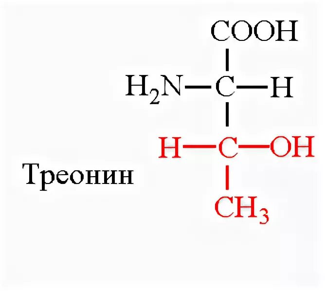 Треонин структура. Треонин строение. Треонин формула. Треонин строение аминокислоты. Треонин это