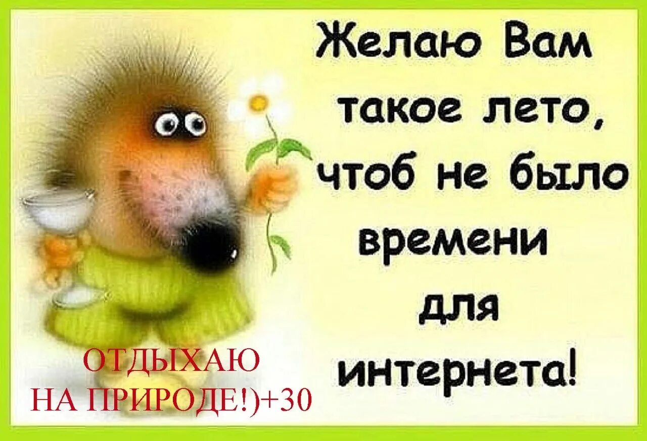 Чтоб можно было выходить. Статусы про лето. Статусы про лето прикольные. Веселые статусы про лето. Прикольные статусы.