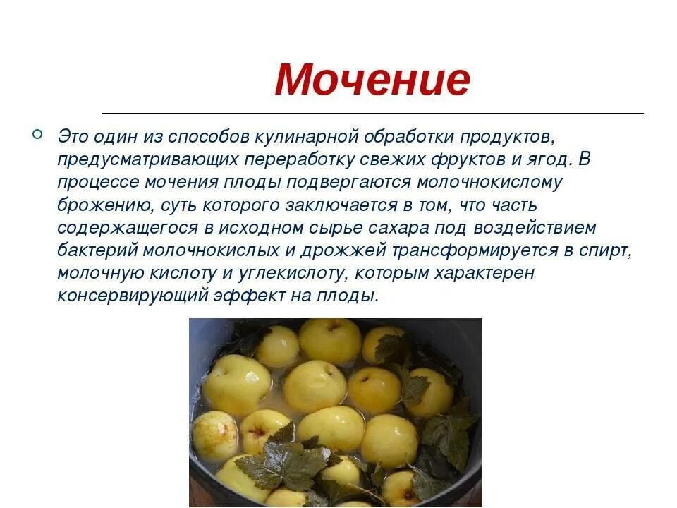 Яблоки при отравлении можно. Мочение овощей. Мочение фруктов. Заготовка продуктов для презентации. Способ консервирования мочение.