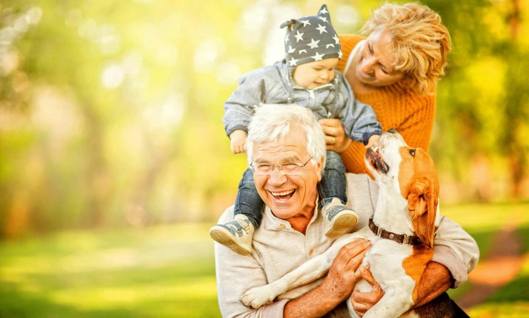 Бабушка дедушка и собака. Старушка с собакой. Бабушка и дедушка с собакой. Бабушка и дедушка с собакой. Прогулка с собакой в пожилом возрасте.