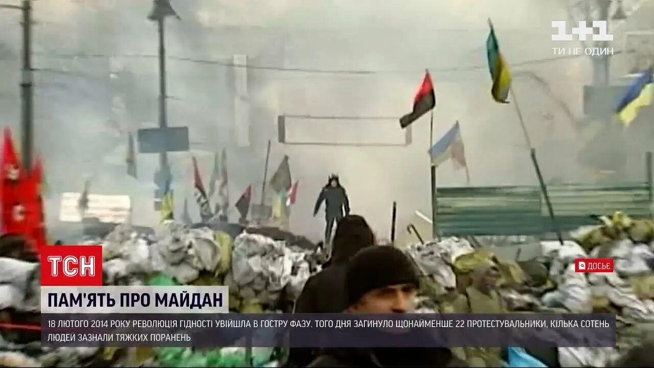 Сколько погибло беркута на майдане. Расстрел на Евромайдан на Украине в 2014.