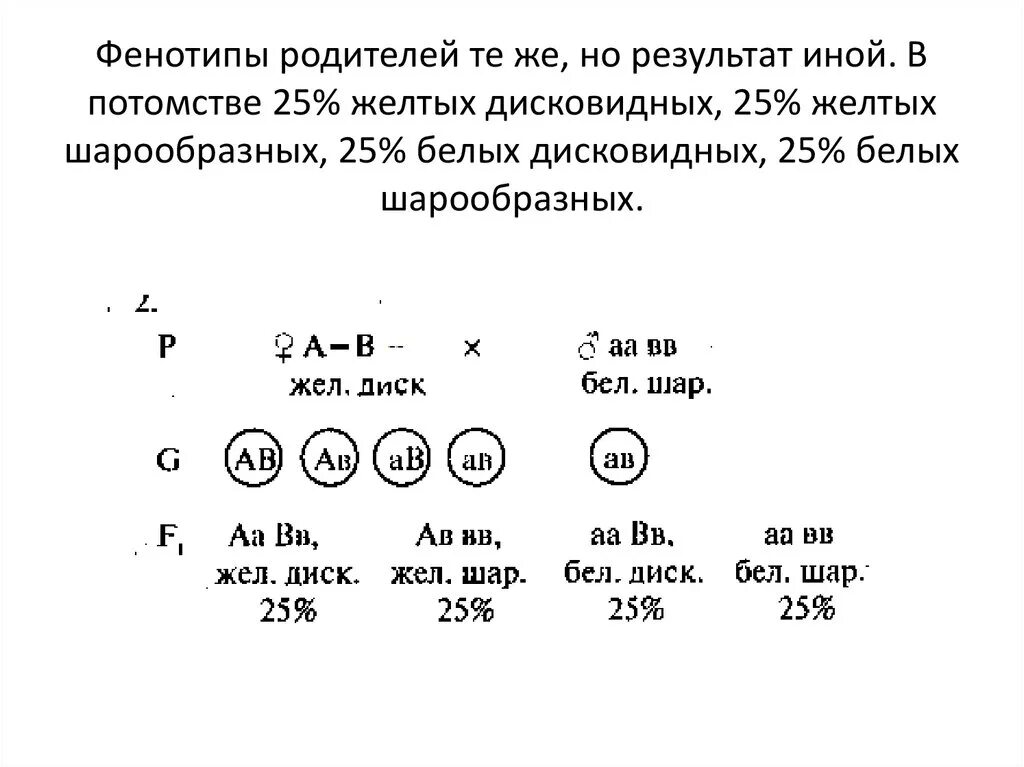 Фенотипы родителей. Фенотип потомства. Генотип и фенотип семьи. Генотипы и фенотипы родителей.