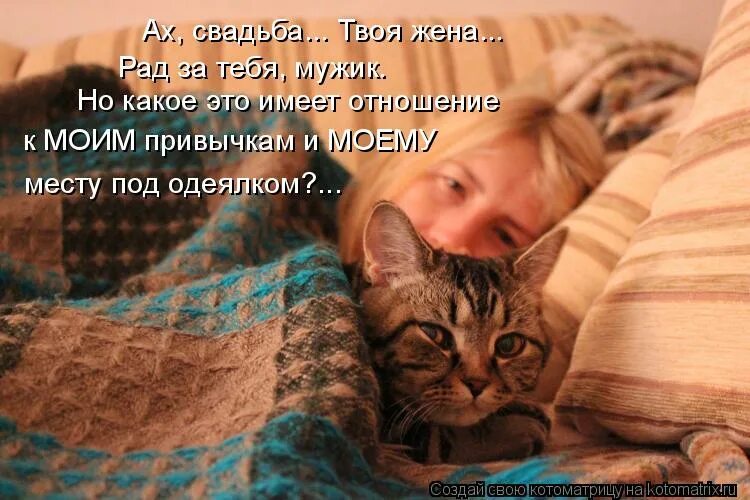 покажи картинки. кот юмор. покажи всякие там. оцелот альбинос. много кошек.