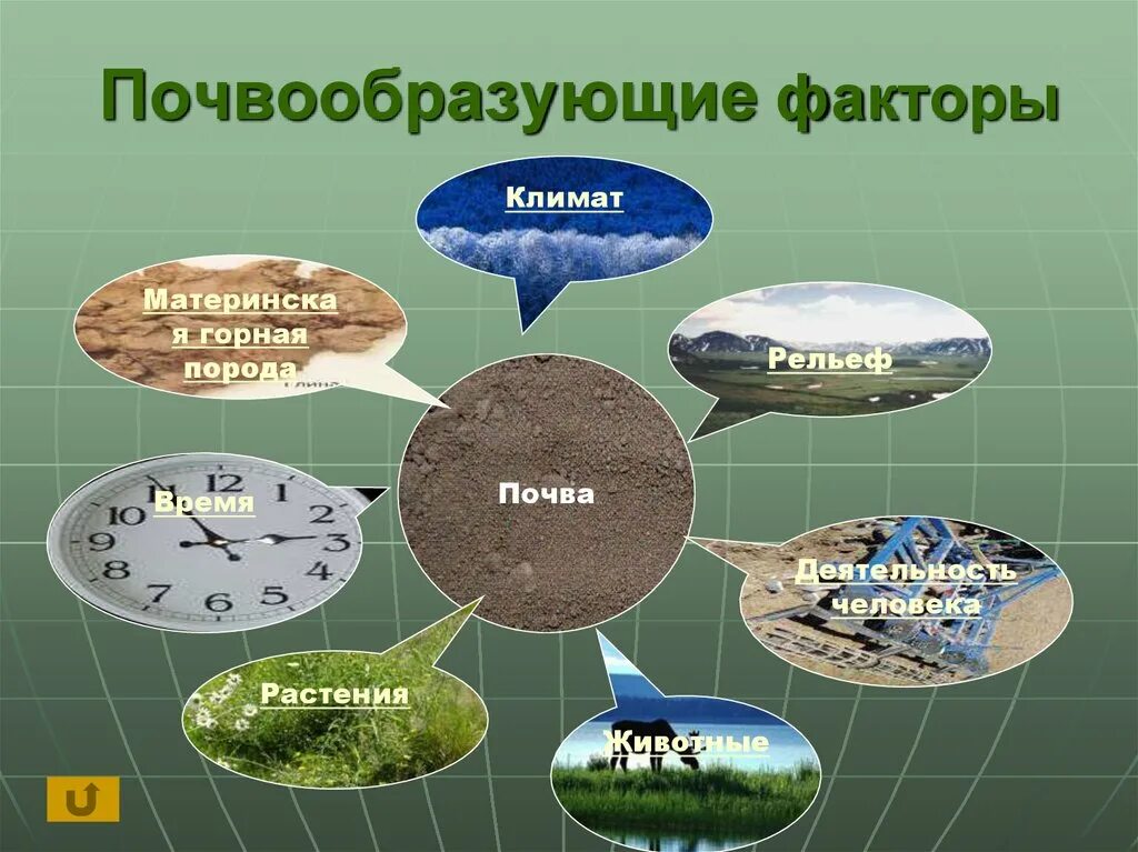 К каким природным ресурсам относятся почвы. Факторы почвообразования. Пово обращующие факторы. Факторы почвообразовани. Факторы почв обращования.