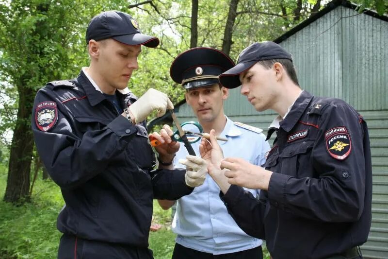 Деятельность следственно оперативных групп. Следственно-оперативная группа. оперативная группа полиции. следственно оперативная группа это полиция?. сог следственно-оперативная группа.