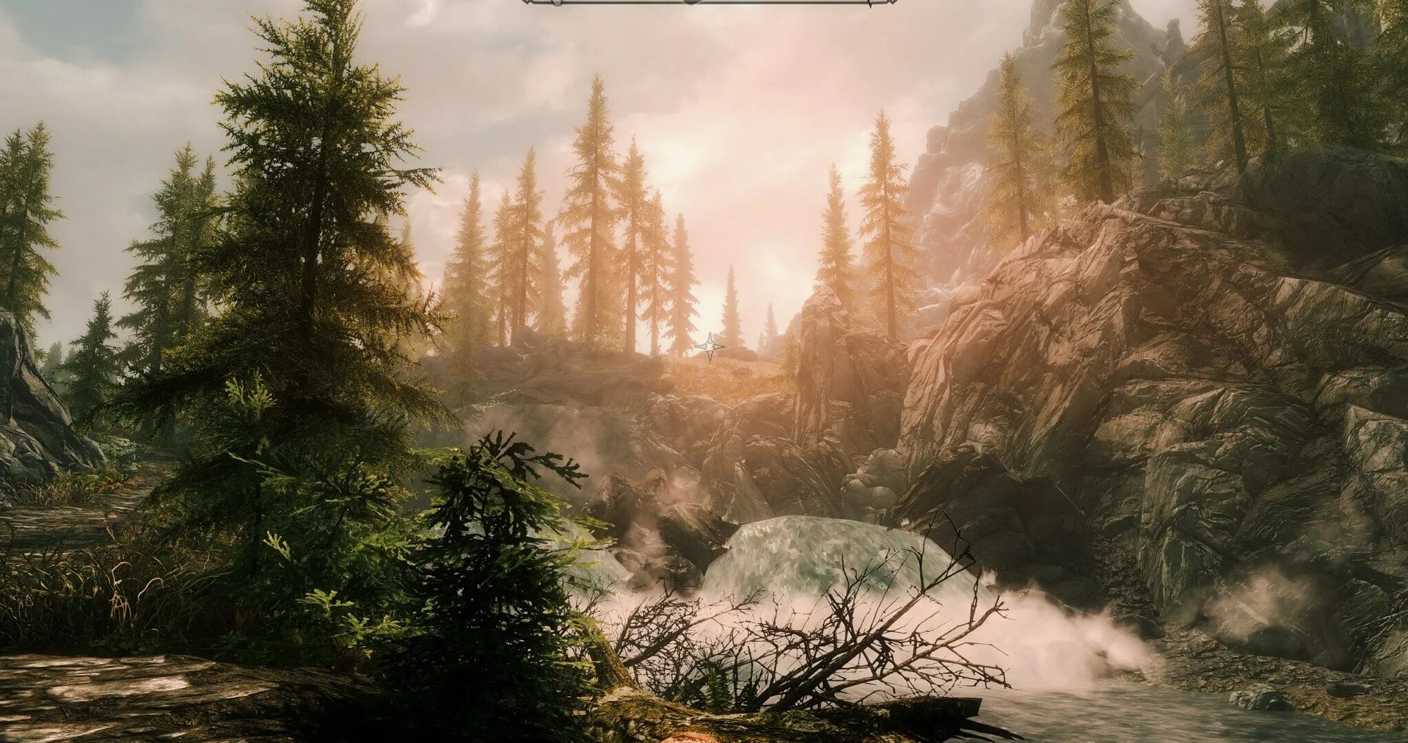 Скайрим спешл эдишн. The Elder Scrolls v: Skyrim se. Skyrim решейд. Блум скайрим. Скайрим се версия