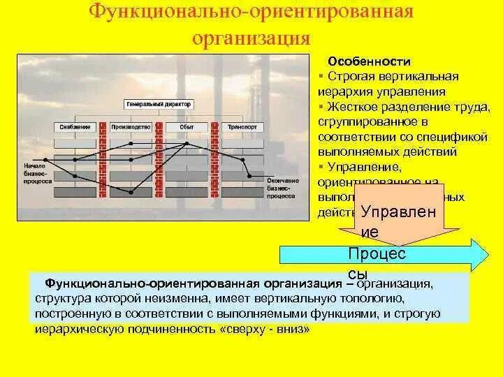 Функциональная организация движений