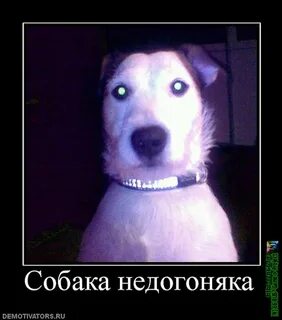Предъява