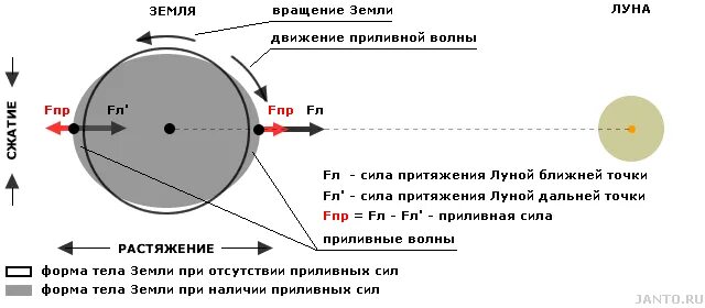 Отношение притяжение солнце. Гравитационные силы Луны. Гравитационное влияние Луны на землю. Гравитационное воздействие Луны на землю. Сила притяжения Луны к земле.
