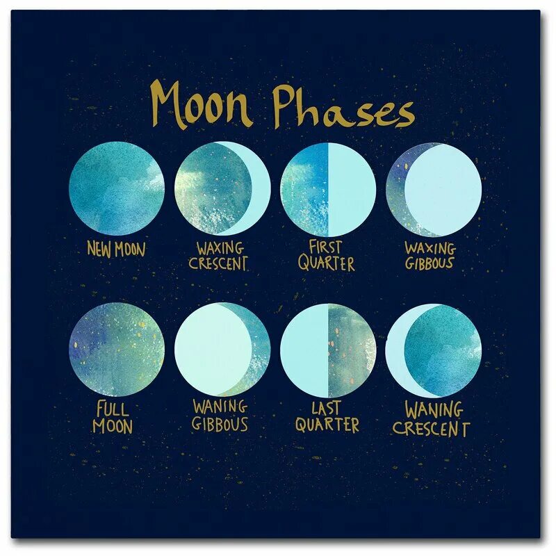 Homing moon. Moon phases. Waxing Gibbous Moon. Фазы Луны phases of the Moon. Фаза Луны Waxing Crescent Moon.