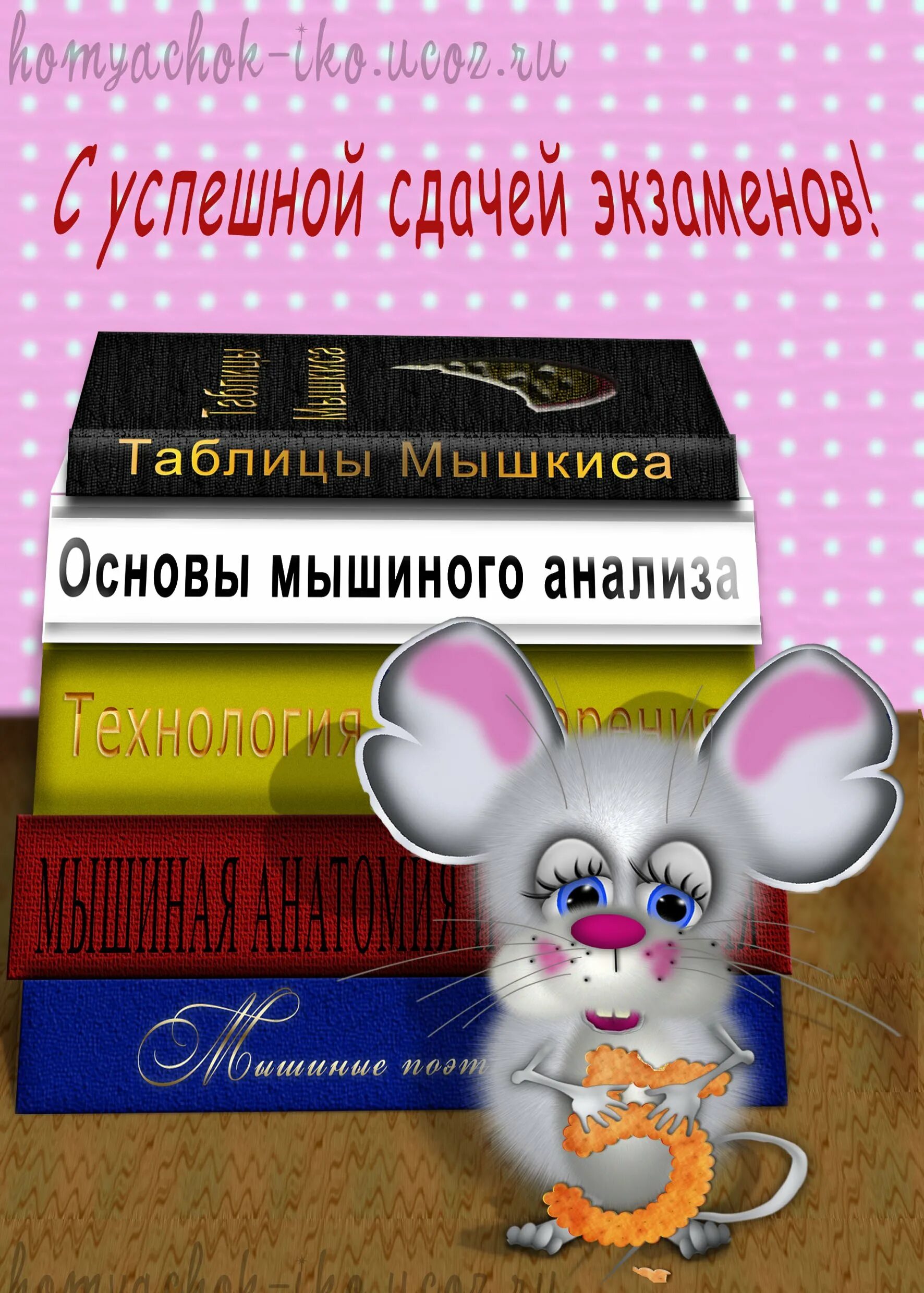 С днем сданных экзаменов. Открытка с успешной сдачей экзамена. Поздравление со сдачей экзамена. С успешной сдачей экзамена. Открытка с пожеланием успешной сдачи сессии.