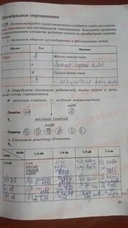 Стр 92 9 класс