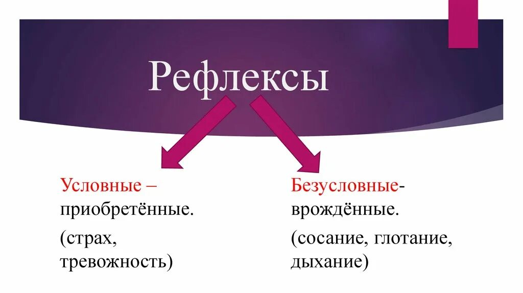 Безусловный рефлекс приобретается. Условный рефлекс. Дыхание это условный рефлекс. Условные дыхательные рефлексы. Безусловные и условные дыхательные рефлексы..