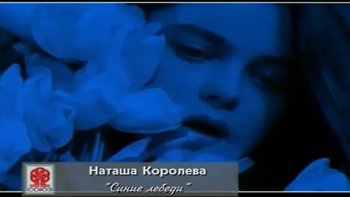 Синие лебеди клип наташи королевой. Наташа королева синие лебеди. Слушать песню синие лебеди королева. Синие лебеди клип наташи королевой. Синниие лебеедии каарраооокеее ppзимммний сссааадд ккааараооккее.