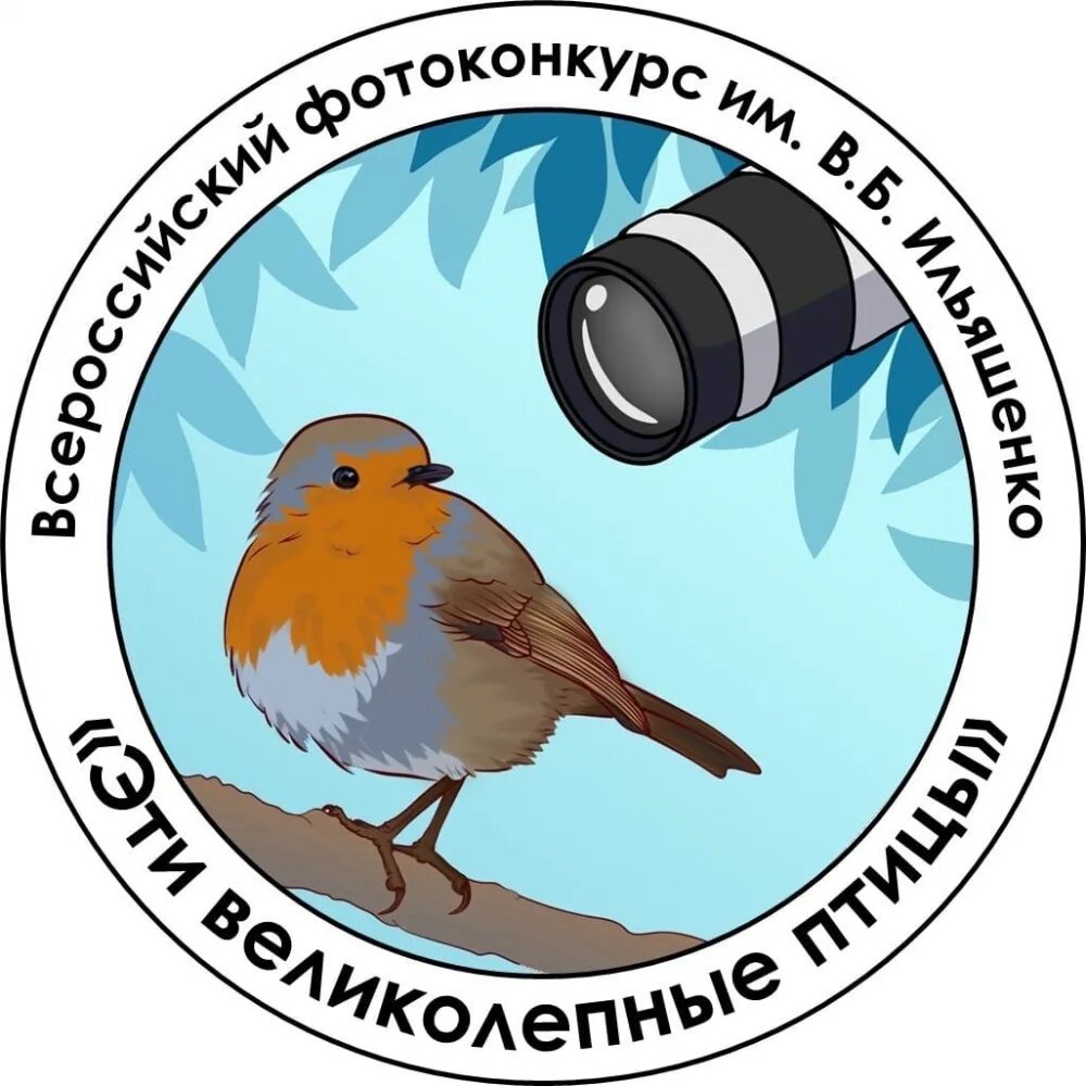 Конкурс птицы россии