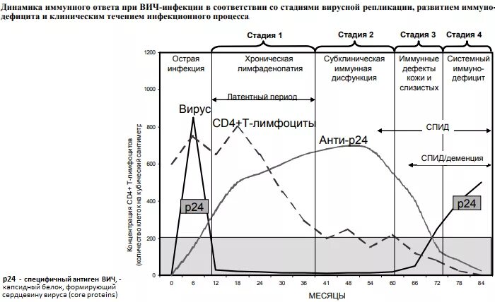 Схема поражения иммунной системы при ВИЧ. Схема развития ВИЧ-инфекции. Стадии ВИЧ инфекции схема. Иммунный ответ при ВИЧ-инфекции схема. Иммунный ответ при инфекциях