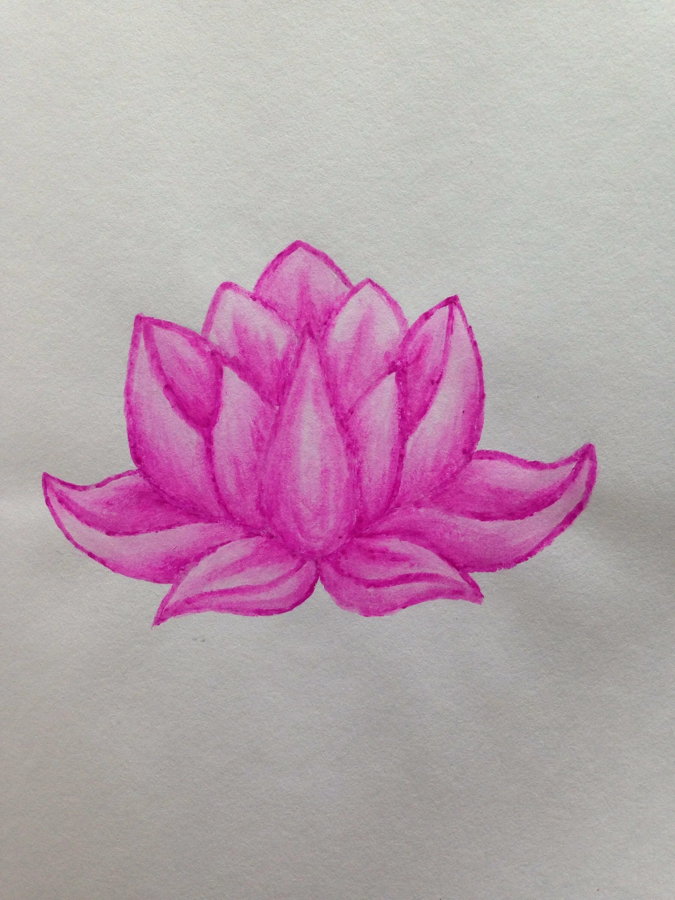 кувшинка белая рисунок карандашом для детей. как нарисовать лотос карандашом. лотос карандашом. рисунки карандашом цветы для начинающих. поэтапное рисование лотоса.