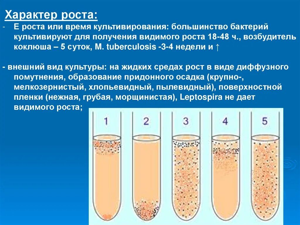 Экспериментатор решила установить какое количество бактерий. Рост бактерий на жидких средах. Характер роста бактерий. Рост бактерий на жидких питательных средах. Характер роста микроорганизмов на жидких питательных средах.