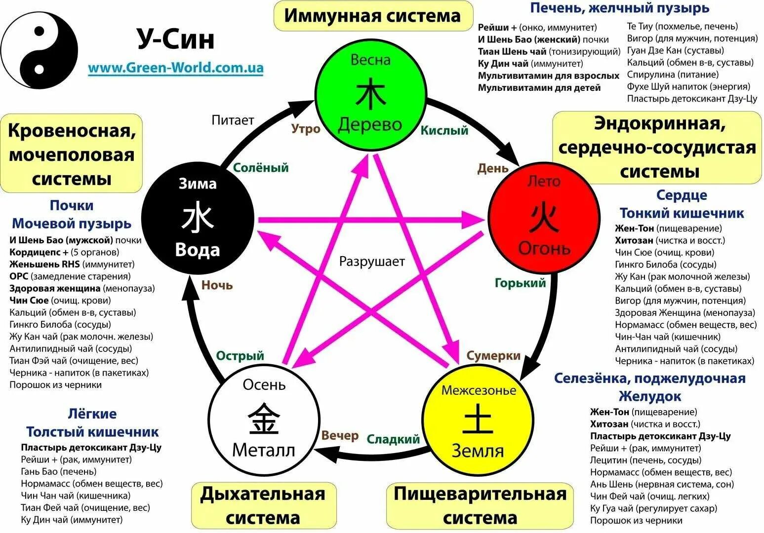 Теория 5 раз. Круг у-син 5 элементов в Бацзы. У-син даосская система пяти элементов. Китайская звезда элементов по у син. Система Усин в китайской медицине.