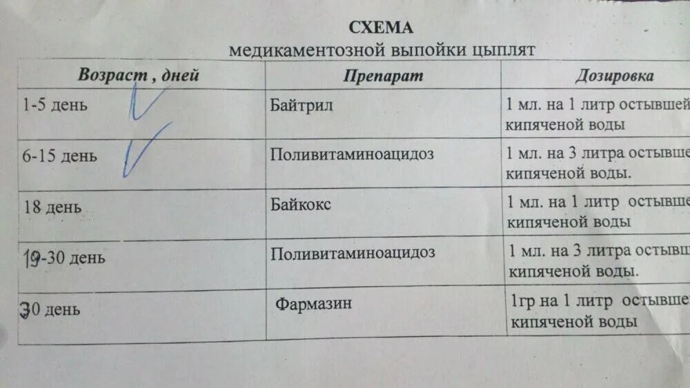 Куры после антибиотиков. Схема выпаивания цыплят бройлеров антибиотиками. Схема пропаивания бройлеров с первых дней жизни. Схема пропойки бройлерных цыплят. Схема пропойки бройлеров антибиотиками.