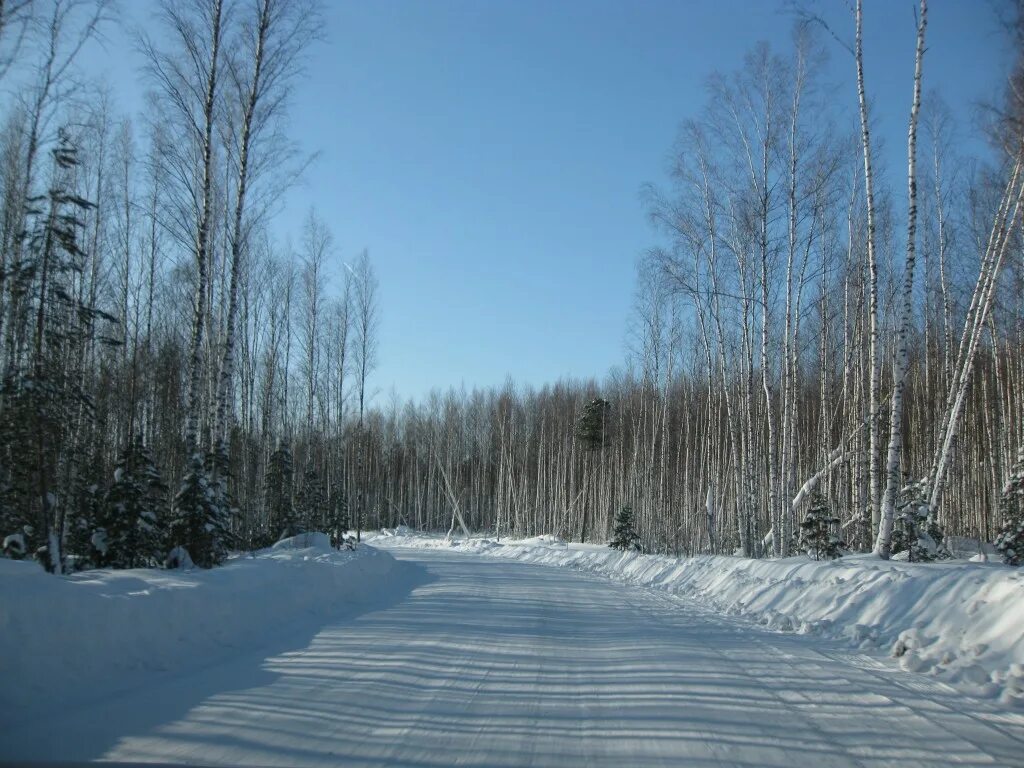 новый васюган аэропорт. поселение средний васюган. село средний васюган томской области. поселок васюган томской области. река васюган томская область.