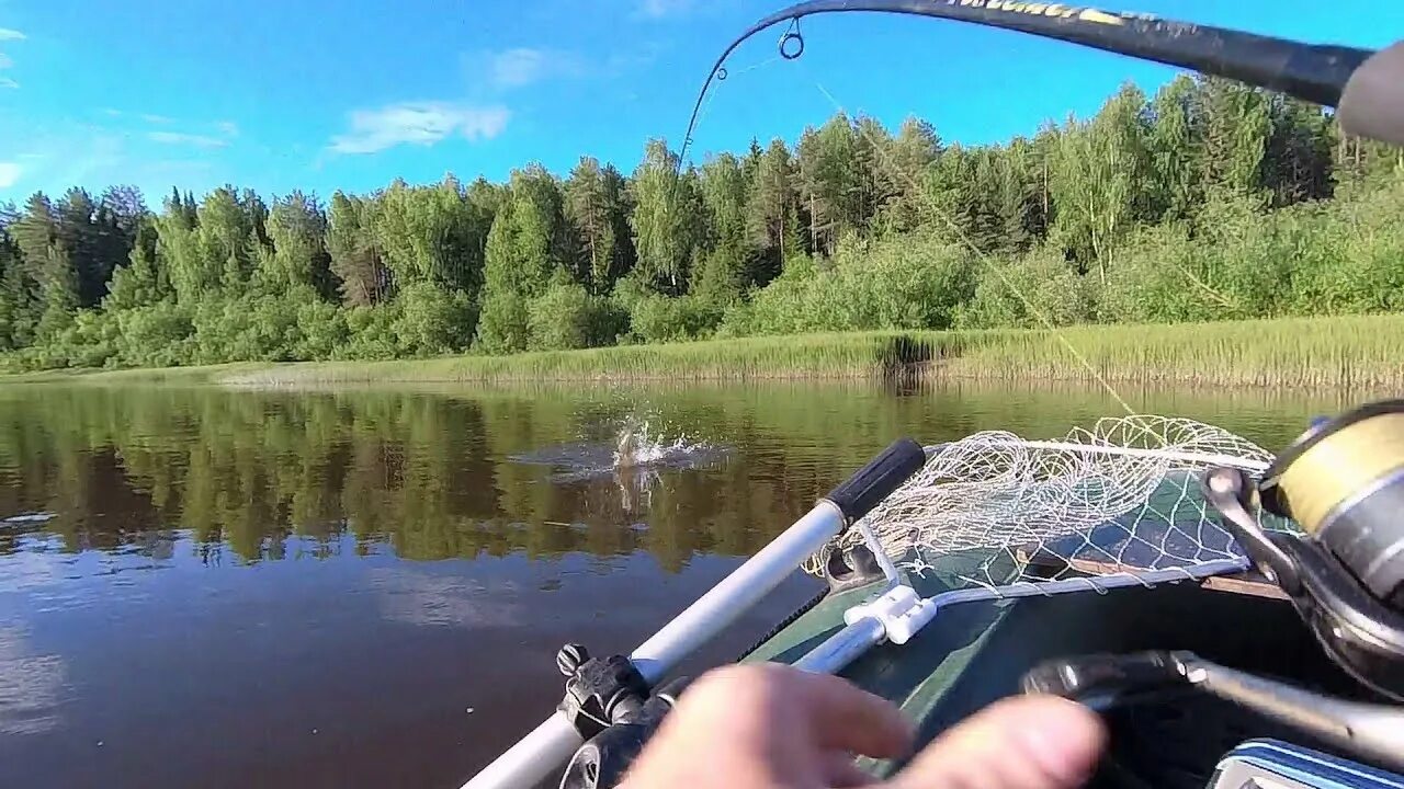 Река обь рыбалка. Красавица обь удилище. Можно ли ловить рыбу в реке оять. Дубна рыбалка. Канал рыбалка на реке.