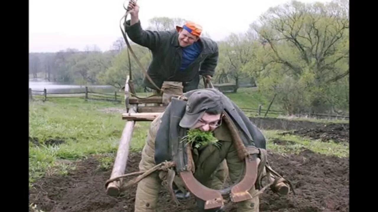 Человек запряженный в плуг. Женщины запряженные в плуг. Человек с плугом. Мужик запряженный в плуг.