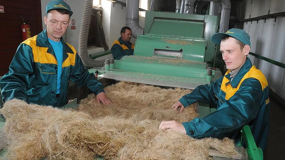 Производство первичной продукции. ОАО Ярцевский льнозавод. Переработка льна. Льняная промышленность. Машина для переработки льна.