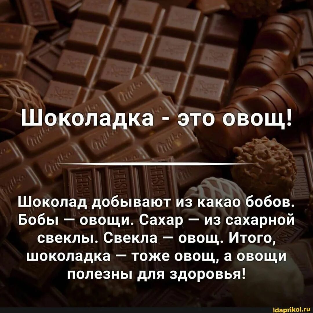 Do you want sugar in your cocoa