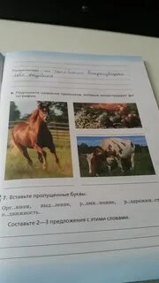 Выбери 2 примера которые иллюстрируют
