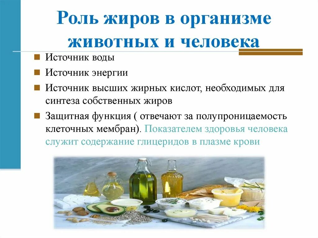 В жире есть вода