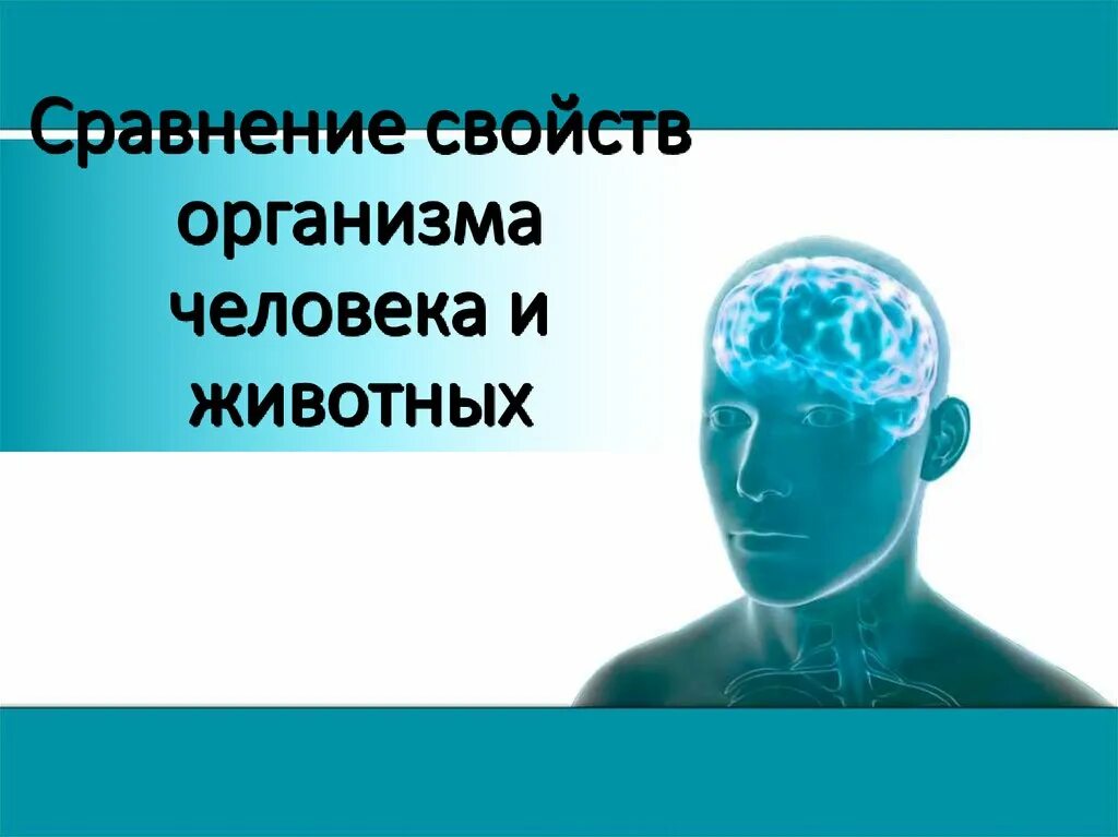 Организм свойства организмов презентация. Сравнение свойств организма человека и животных 9 класс. Сравнение свойств организма человека и животных презентация. Биология 9 класс сравнение свойств организма человека и животных. Об уникальных признаках организма.