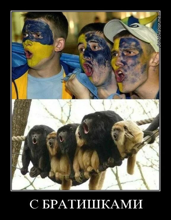 Хохлы дебилы. Хохол с флагом. Придурок украины. Украинцы на майдане. Придурок украины.