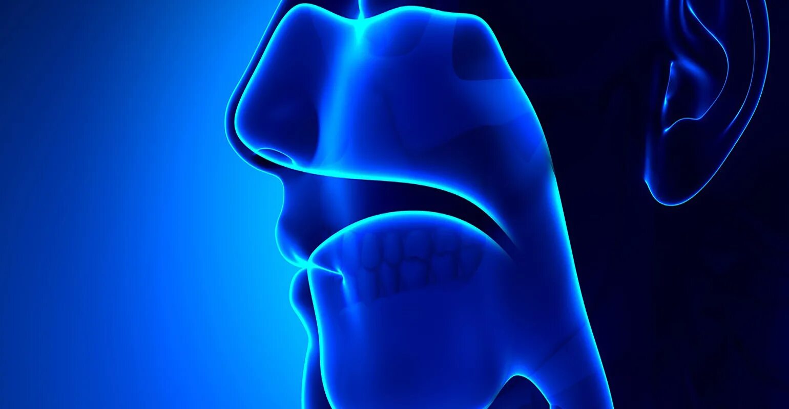 Физиология дыхания человека. Выдох в воду. Дыхание полной грудью. Дыхание. Дыхательная система человека механизм вдоха и выдоха.