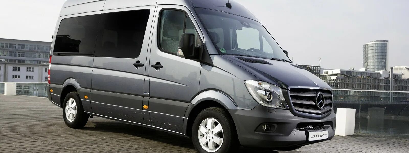 Стойка мерседес спринтер. Mercedes Sprinter 906. Mercedes Benz Sprinter 2012. Мерседес Спринтер w906. Mercedes-Benz Sprinter 419 CDI.