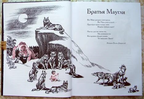 Братья маугли