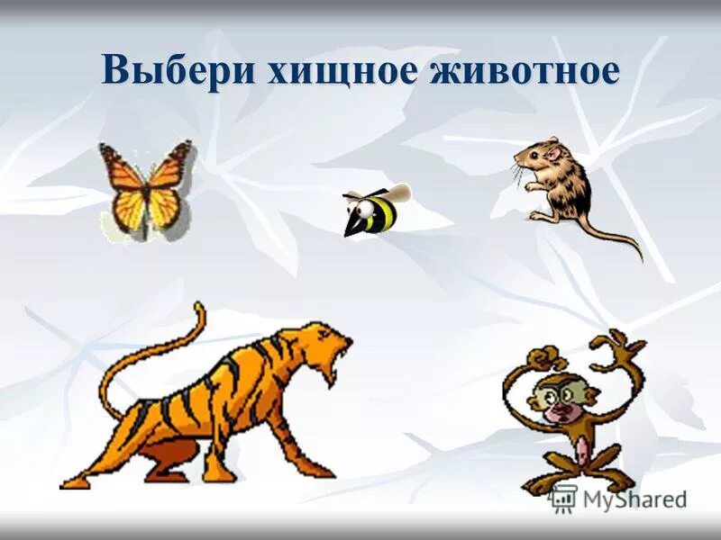 хищники и растительноядные животные. примеры хищных животных. название хищных животных. хищники животные 3 класс. млекопитающие гепард.