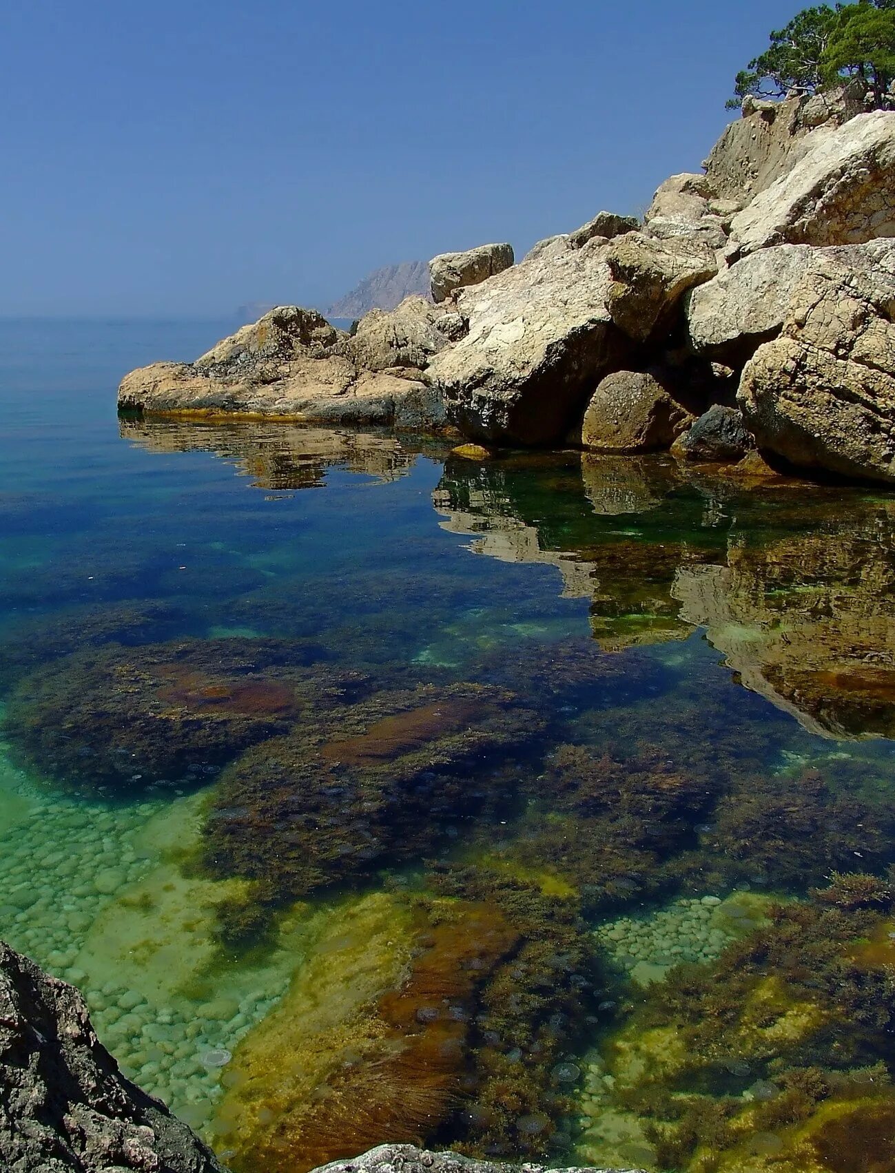 Красота черного моря. Пляж инжир Севастополь. Мыс Айя Севастополь. Мыс Айя инжир. Крымский полуостров Севастополь Фиолент.