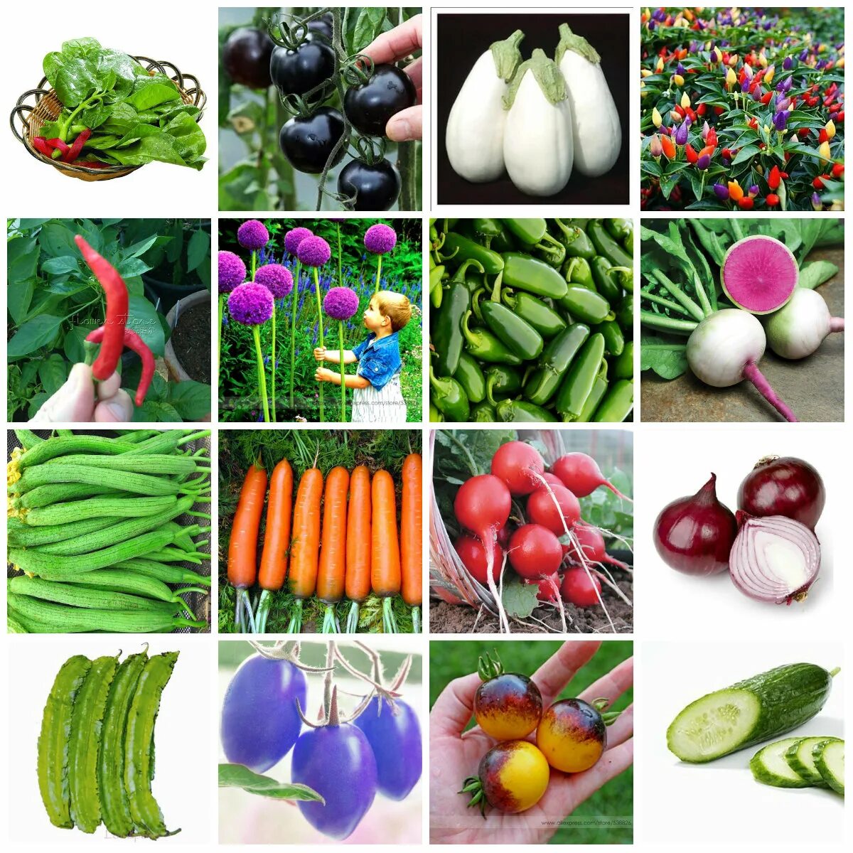 Семена овощей цена