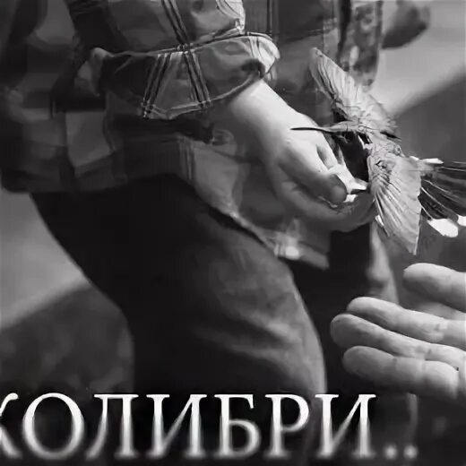 Эндшпиль Колибри. Колибри мияги Колибри. Мияги маленький. Мияги я напишу про депрессуху целый том приколи.