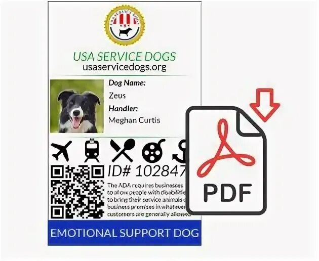 Регистрация pet. Esa Dog ID Card. Lost Dog service USA.