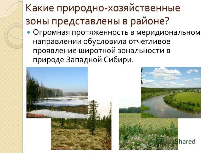 Особенности природных условий западной сибири. Особенности природных условий западной сибири