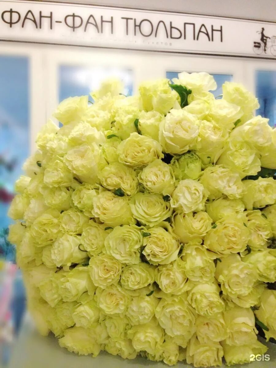 Фан фан цветы