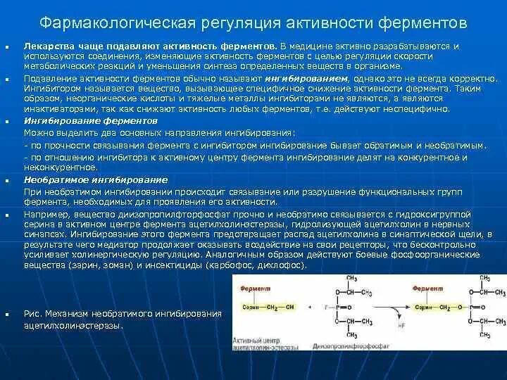 Регуляция активности ферментов ингибирование. Роль металлов в регуляции активности ферментов. Регуляция активности ферментов биохимия. Механизмы регуляции активности ферментов.