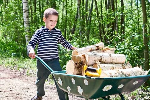 Носить дрова в лес