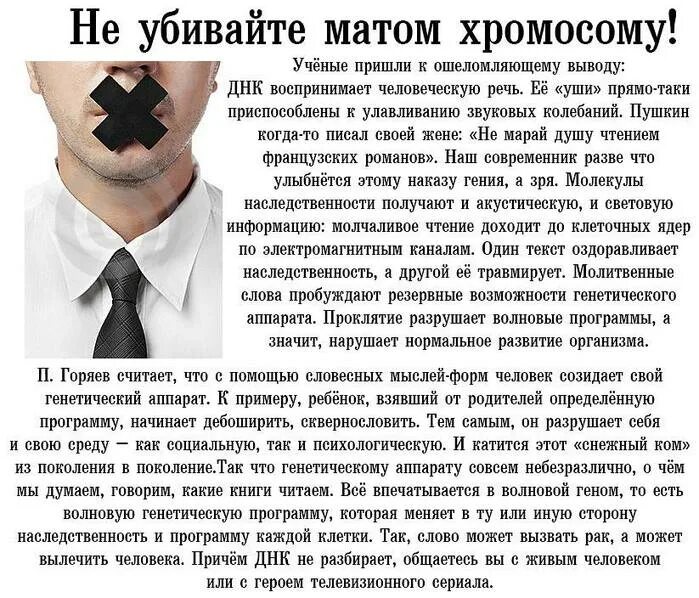 Что значит дебоширить. Soba4ki валентинка. Дебошир в самолете сочи москва. Самолет с пассажиром. Пьяные дебоширят в гостинице.