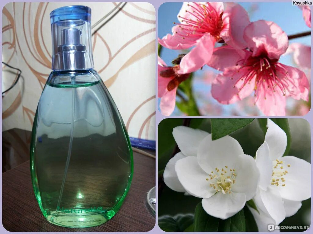 Ив роше духи описание. Ив роше туалетная вода женская натюрель. Ив роше духи описание. Ив роше подарок парфюм. Evidence yves rocher описание.