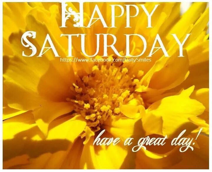 Dates to remember. Biggle. Saturday remember. Saturday cartoon. Saturday morning cartoons.