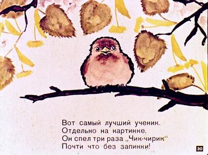 Птица школа читать