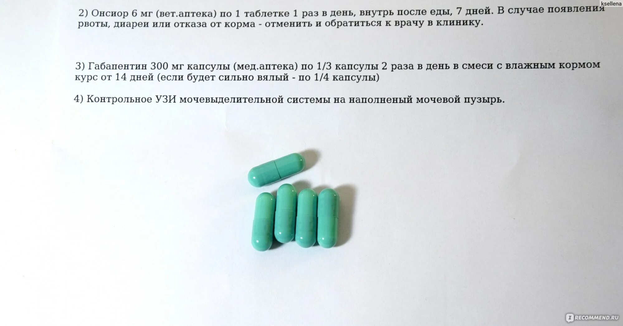 Габапентин применение для собак. Габапентин ветеринария. габапентин капсулы. габапентин капсулы инструкция для кота зеленые капсулы. таблетка габапентин для чего у животных.